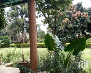 3 Bedroom House In Bugolobi For Rent