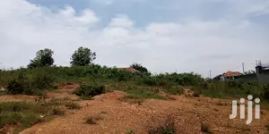 Plot Is for Sale in Kira Mulawa