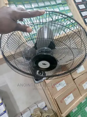 Wall Black Fans