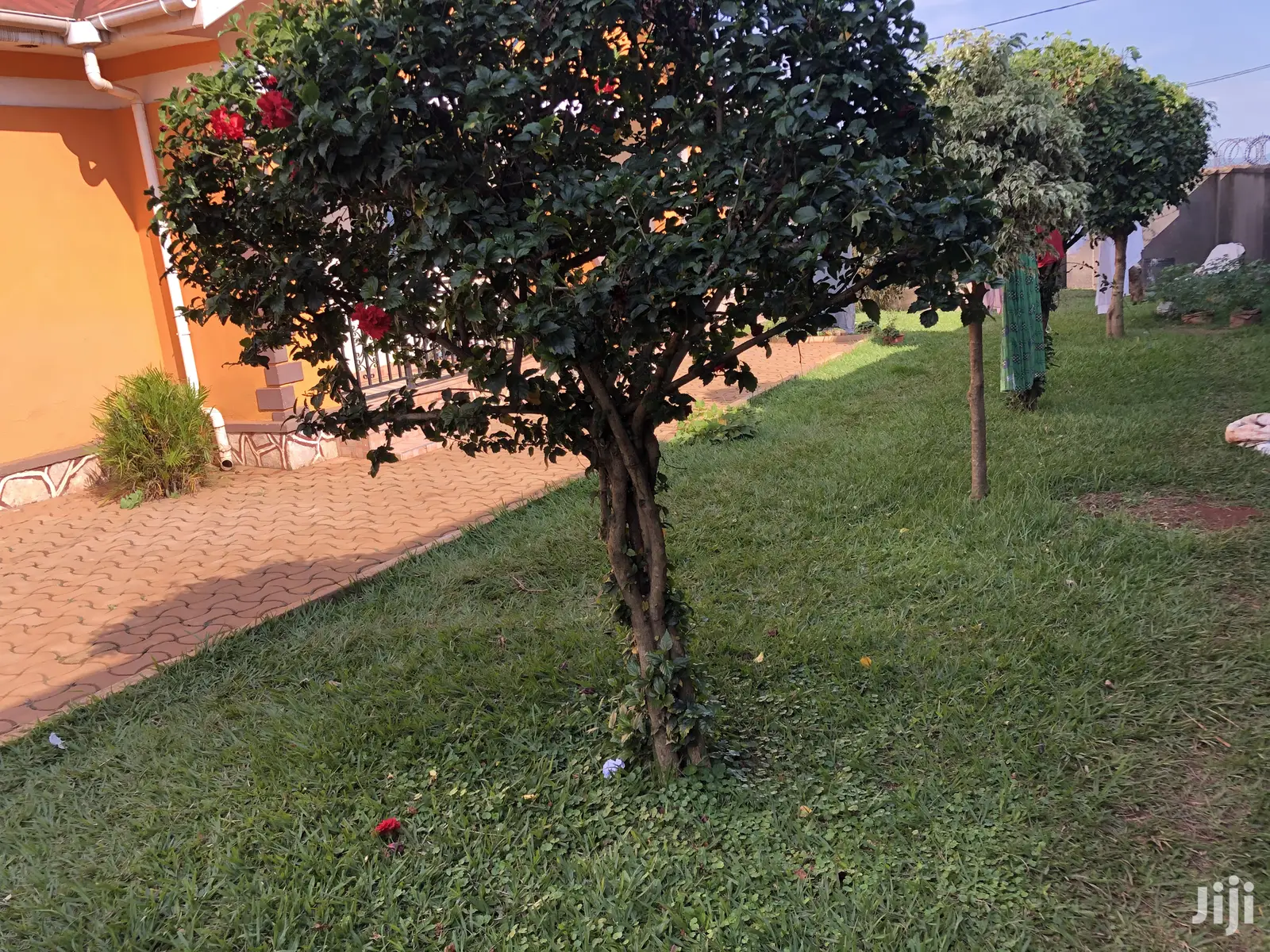 3 Bedroom 4 Unit Rentals in Namugongo Buto on Sell