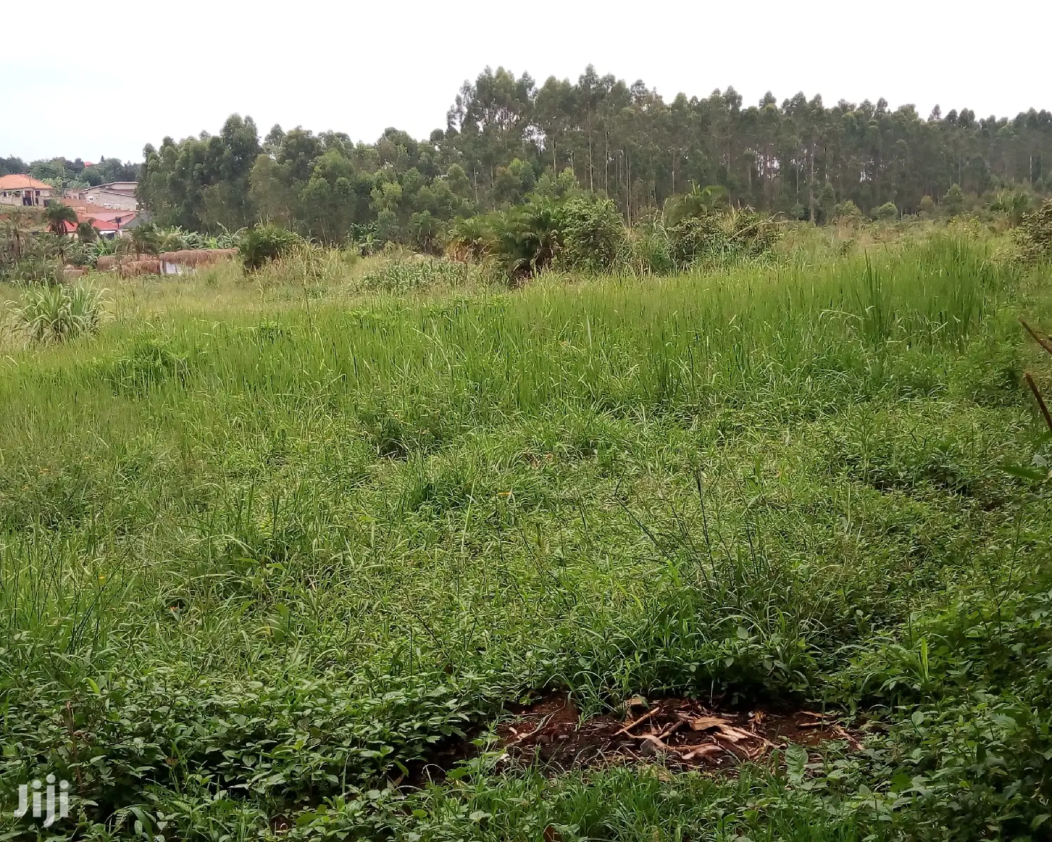 Plots for Sale in Buwate