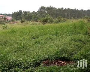 Plots for Sale in Buwate