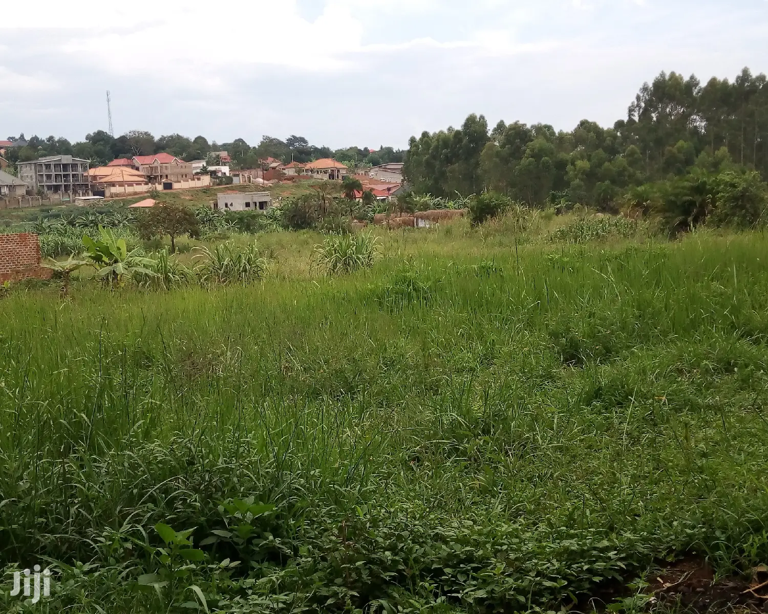 Plots for Sale in Buwate
