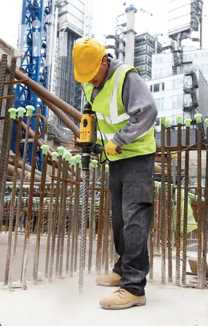 Dewalt Sds-max Combination Hammer