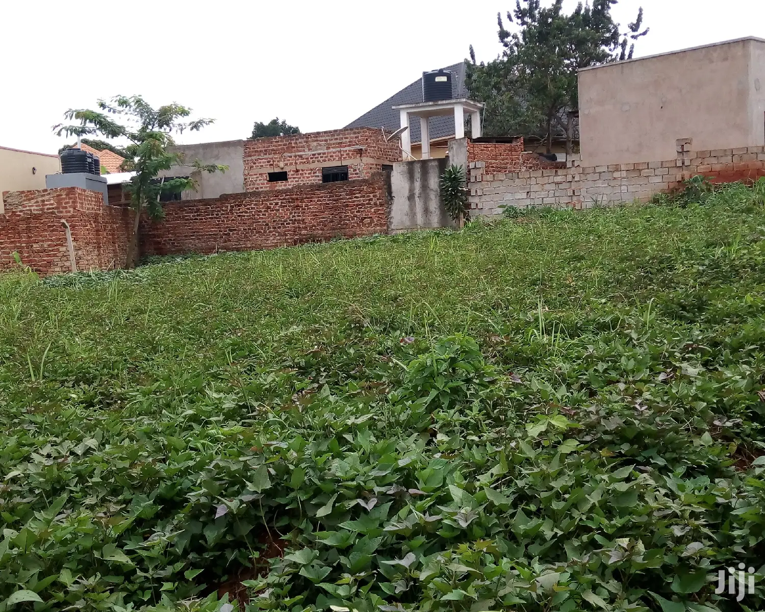 Plot Is on Sale in Buwate