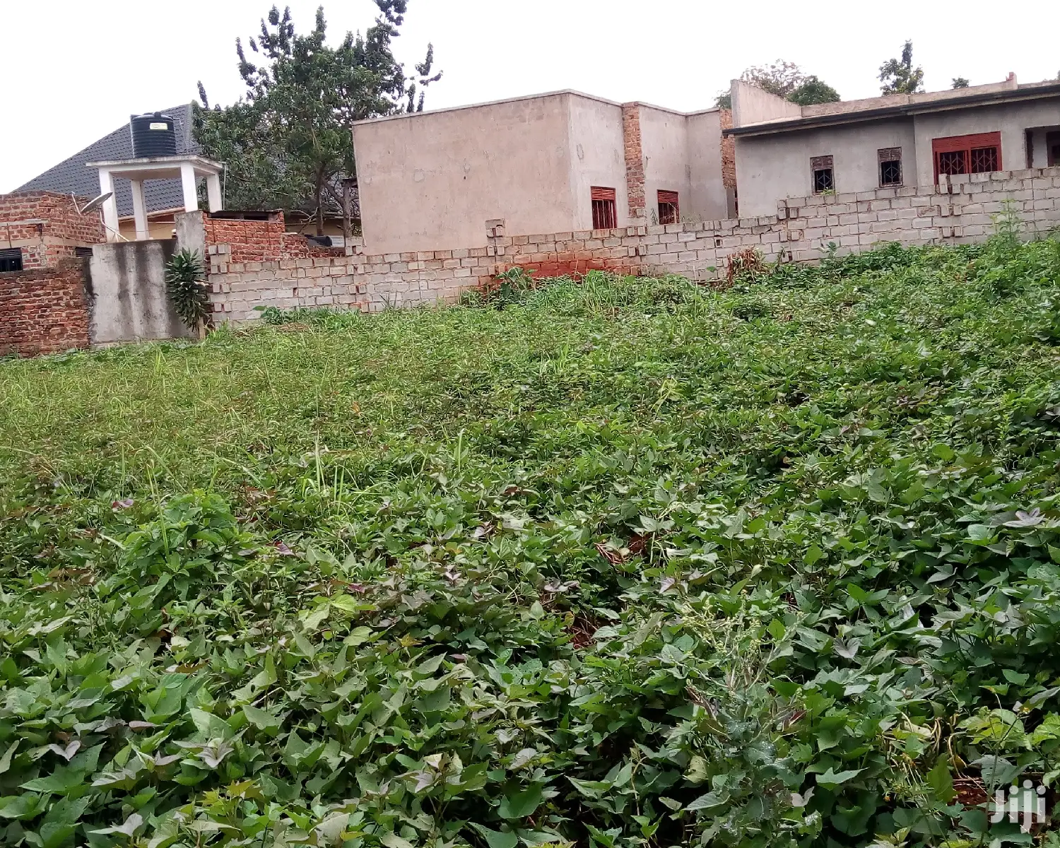 Plot Is on Sale in Buwate