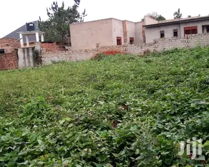 Plot Is on Sale in Buwate