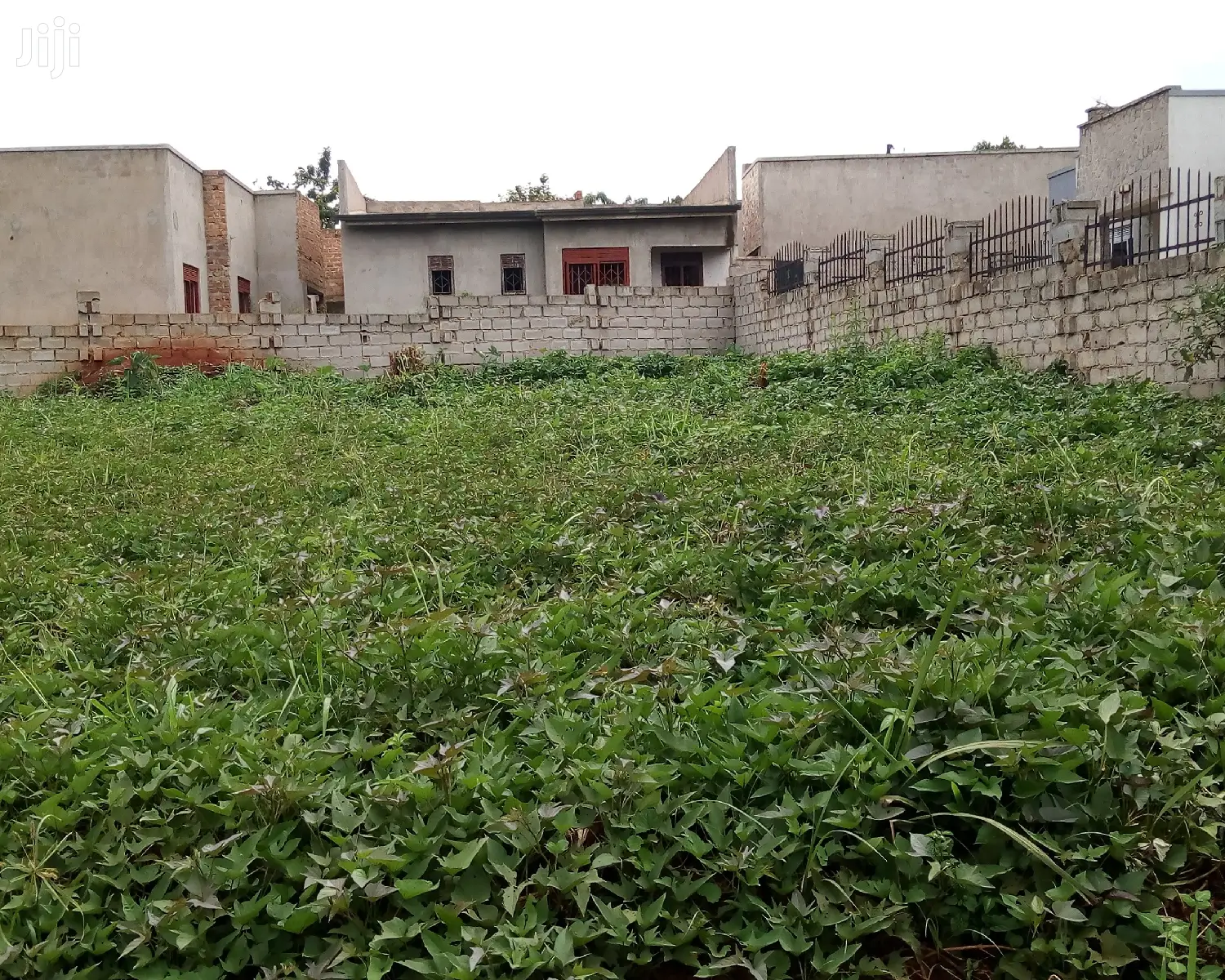 Plot Is on Sale in Buwate