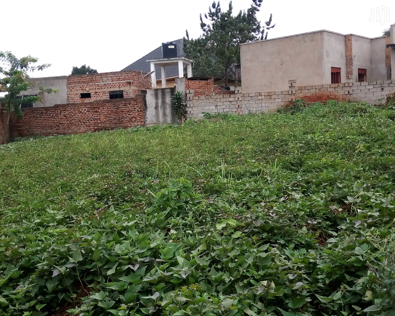 Plot Is on Sale in Buwate