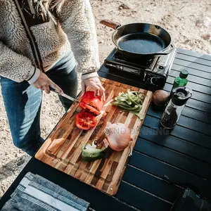 Portable Gas Stove