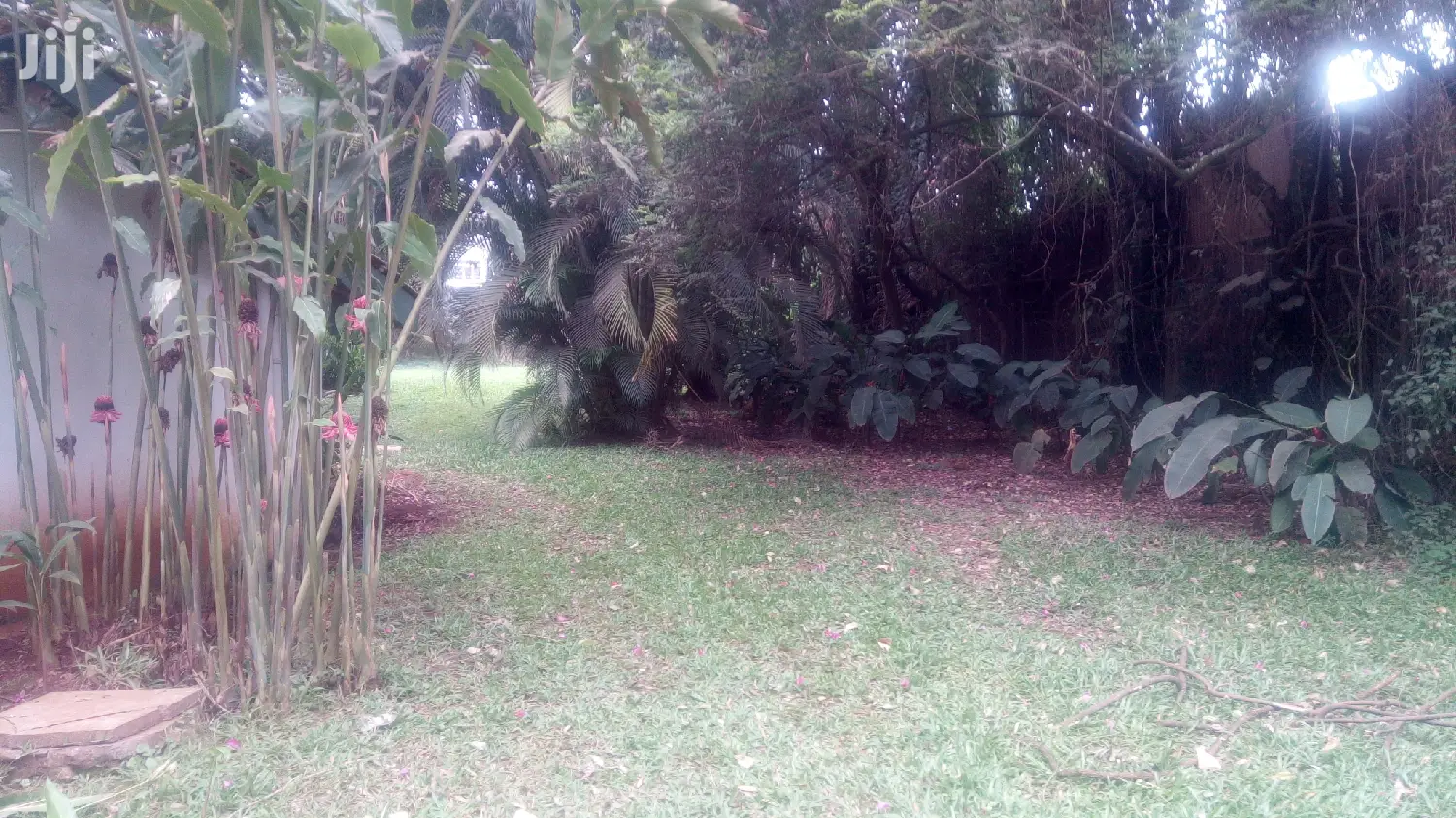 4 Bedroom House In Kololo For Rent