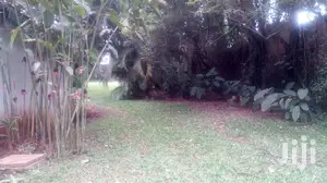 4 Bedroom House In Kololo For Rent