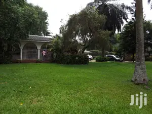 6 Bedroom Magnificent House In Bugolobi For Rent