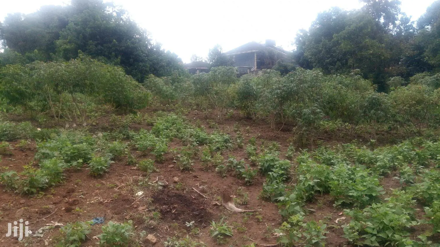 Plot Of Land In Kira For Sale