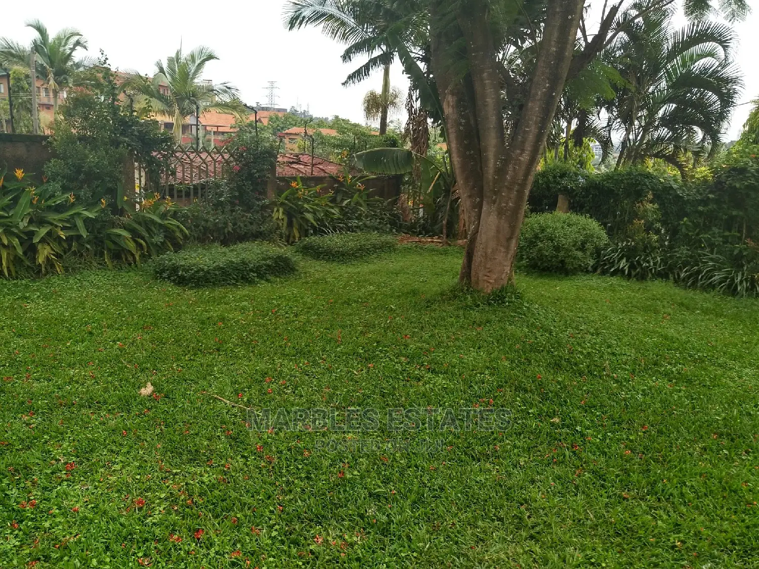 7 Bedrooms House For Rent Near Lugogo In Naguru
