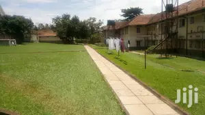 3 Bedroom House In Kololo For Rent