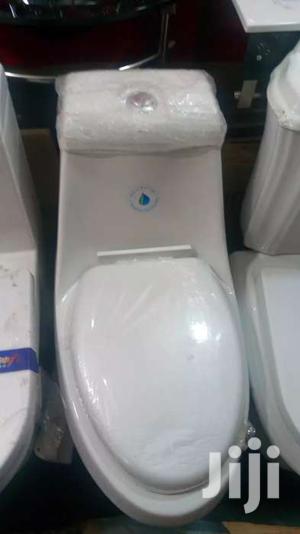 Marvelous Executive Toilet