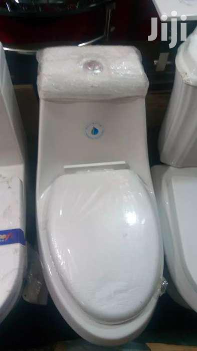 Marvelous Executive Toilet