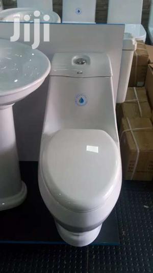 Marvelous Executive Toilet