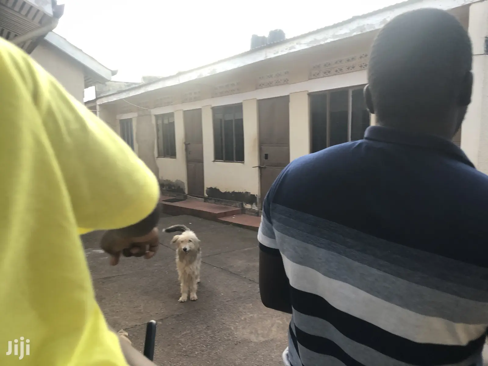 29 Decimals House In Bweyogerere Near Tarmack On Sell