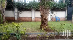 3bdrm Bungalow in Kampala for rent