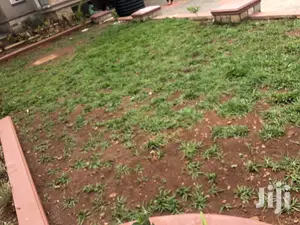 Kyanja Six Bedrooms Storeyed House On Sell