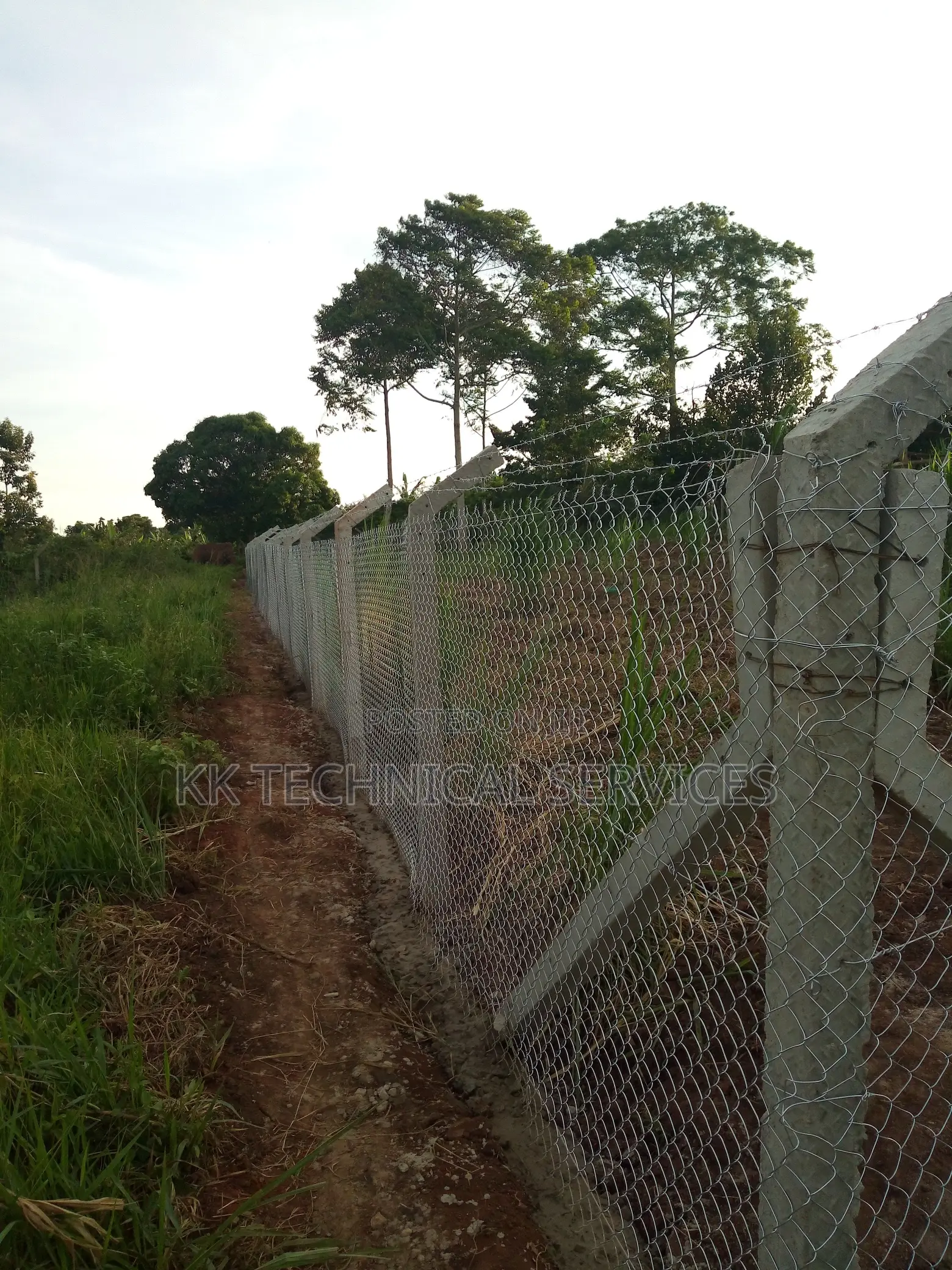 Chainlink Fencing in Central Division Building & Trade Services