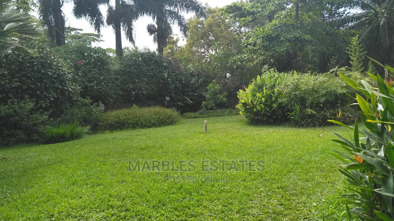 Nice White House For Rent In Naguru.