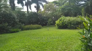 Nice White House For Rent In Naguru.