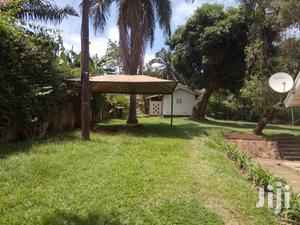 Four Bedroom House In Kololo For Rent