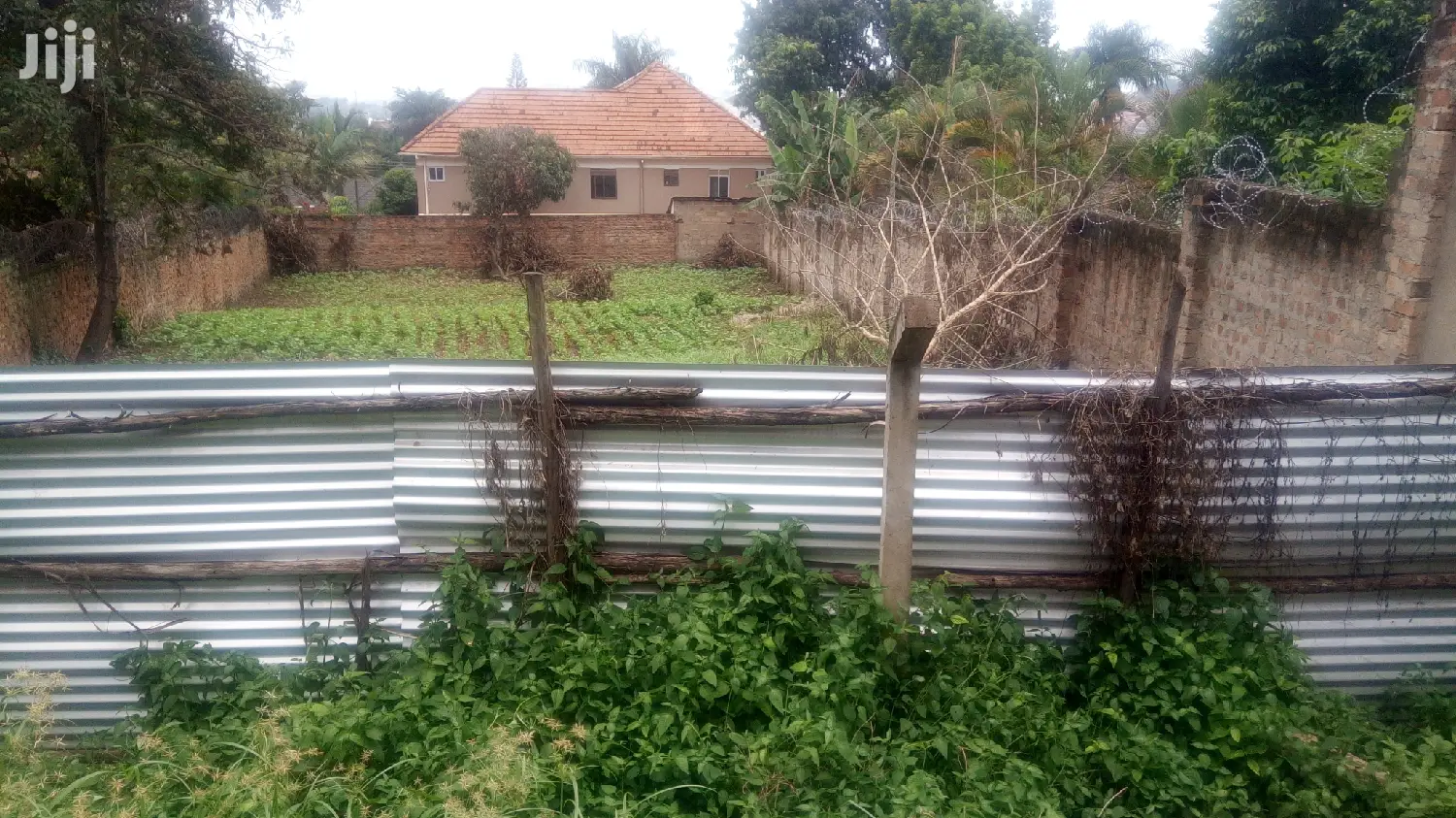 17 Decimals Land For Sale