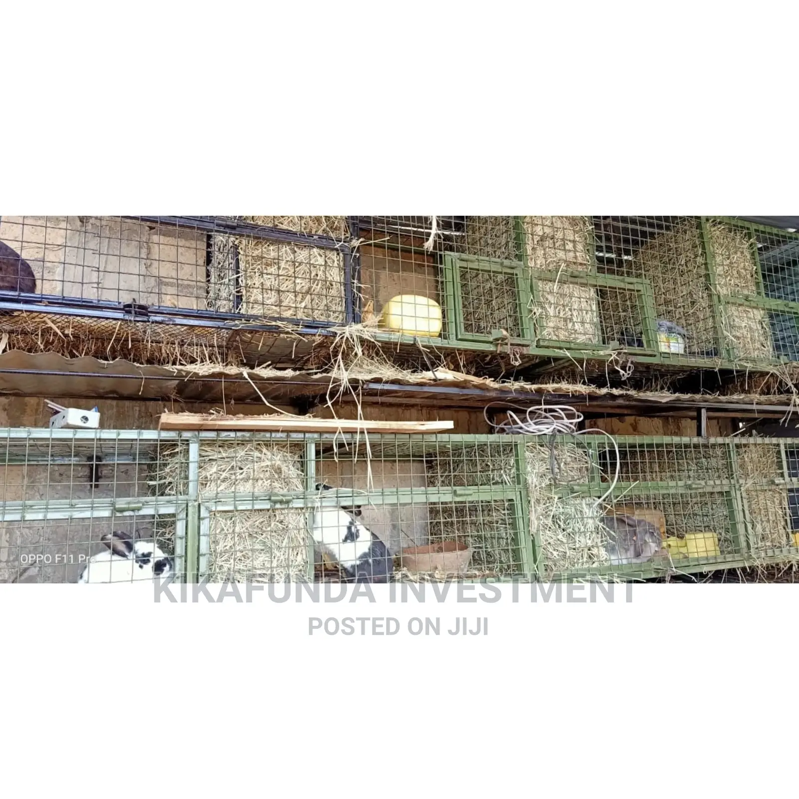 Rabbit Hay 17 KGS