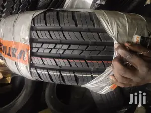 225/65r17 Eco-Vision