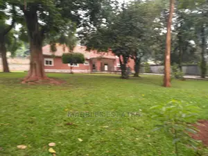 4 Bedrooms Nice House For Rent In Kololo Seated On One Acre