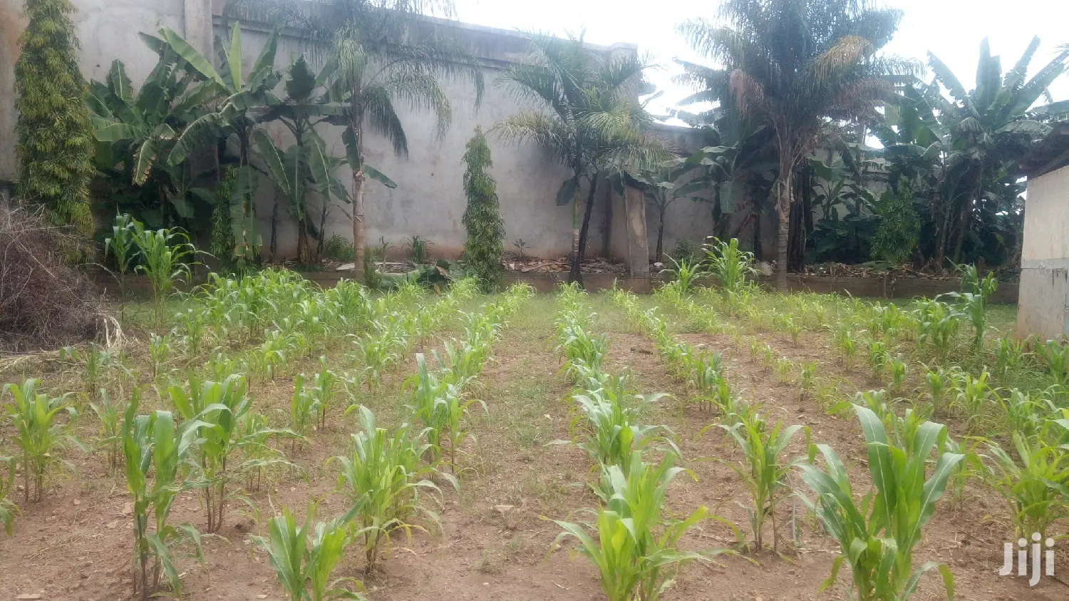 5 Bedroom Shell Mansion In Kololo For Sale