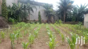 5 Bedroom Shell Mansion In Kololo For Sale