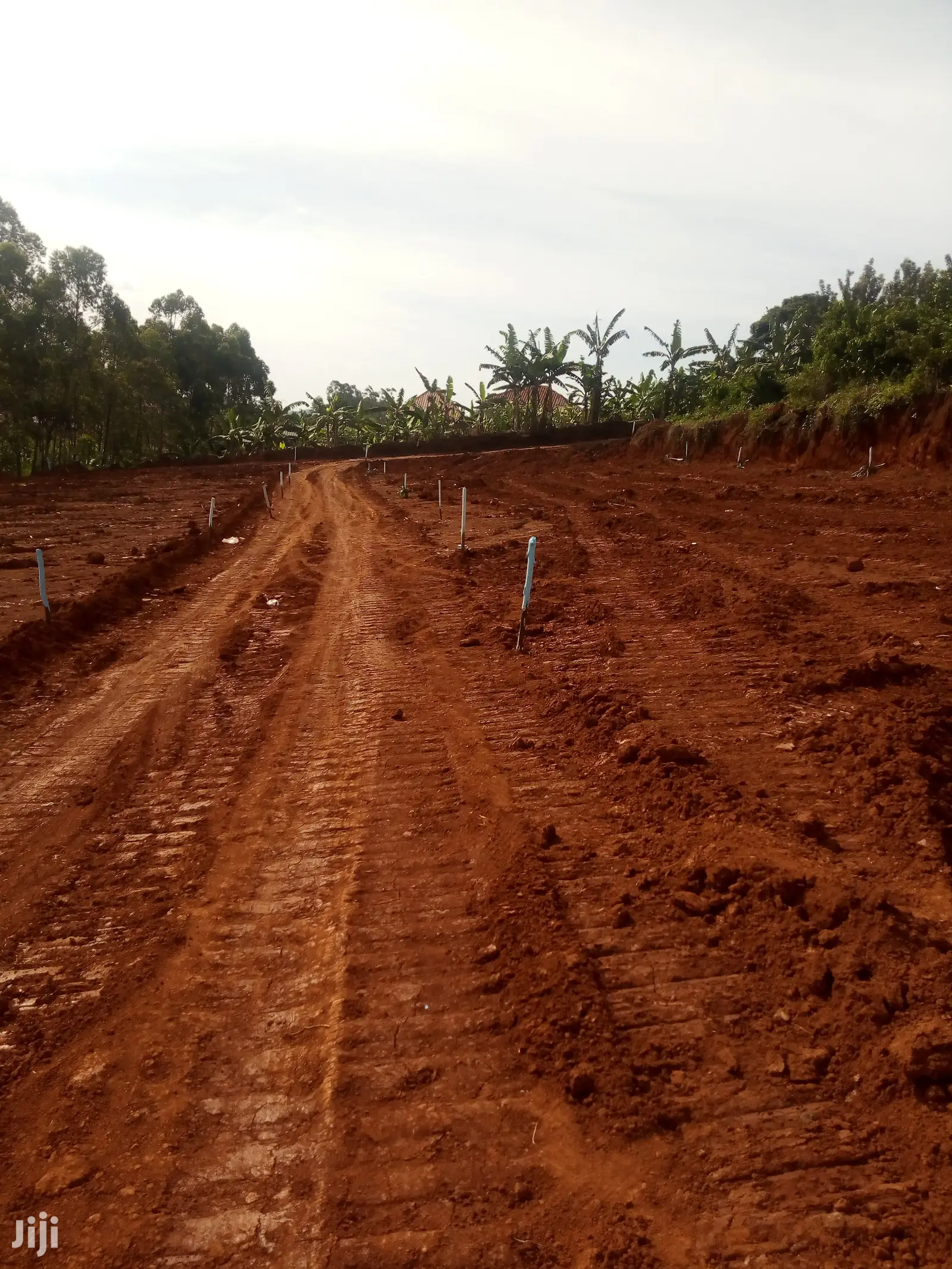 Plot for Sale 50x30ft at at 35m Ugx Bira Bujjuko Town