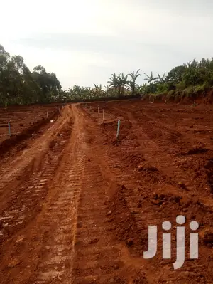 Plot for Sale 50x30ft at at 35m Ugx Bira Bujjuko Town