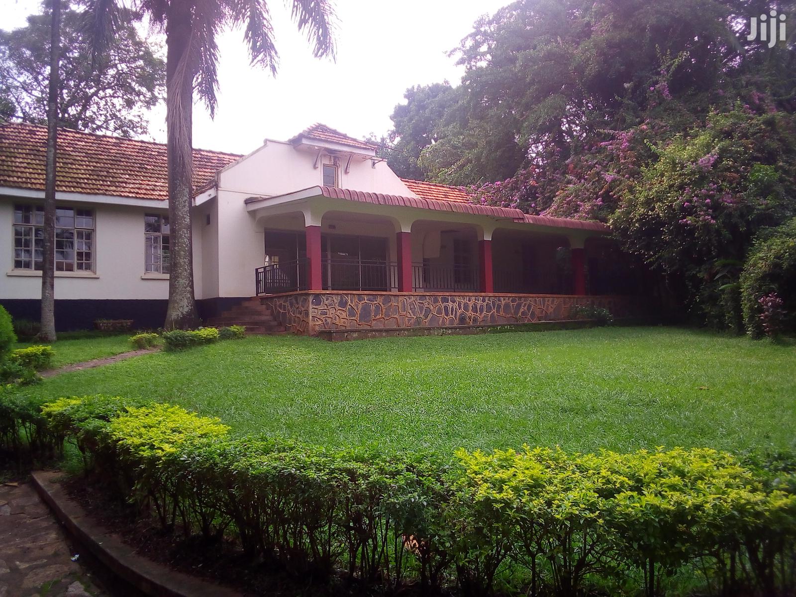 Three Bedroom House In Kololo For Rent