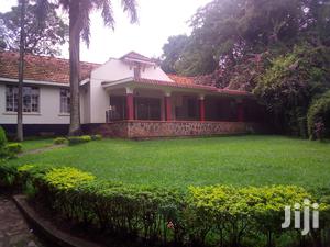 Three Bedroom House In Kololo For Rent