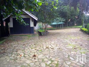 Three Bedroom House In Kololo For Rent