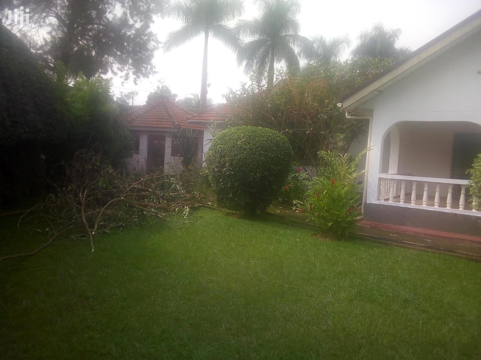Three Bedroom House In Kololo For Rent