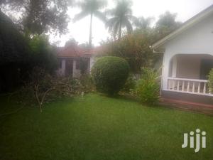 Three Bedroom House In Kololo For Rent