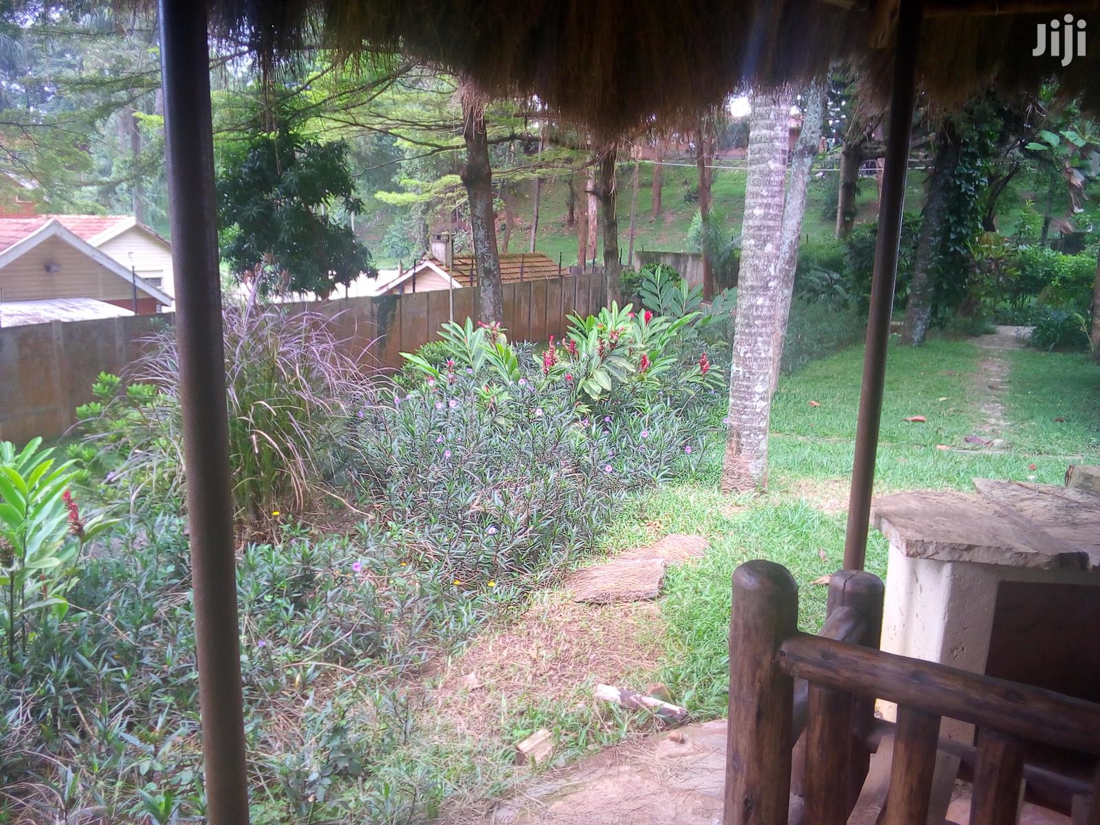 Five Bedroom House In Kololo For Rent