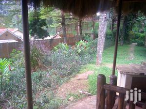 Five Bedroom House In Kololo For Rent