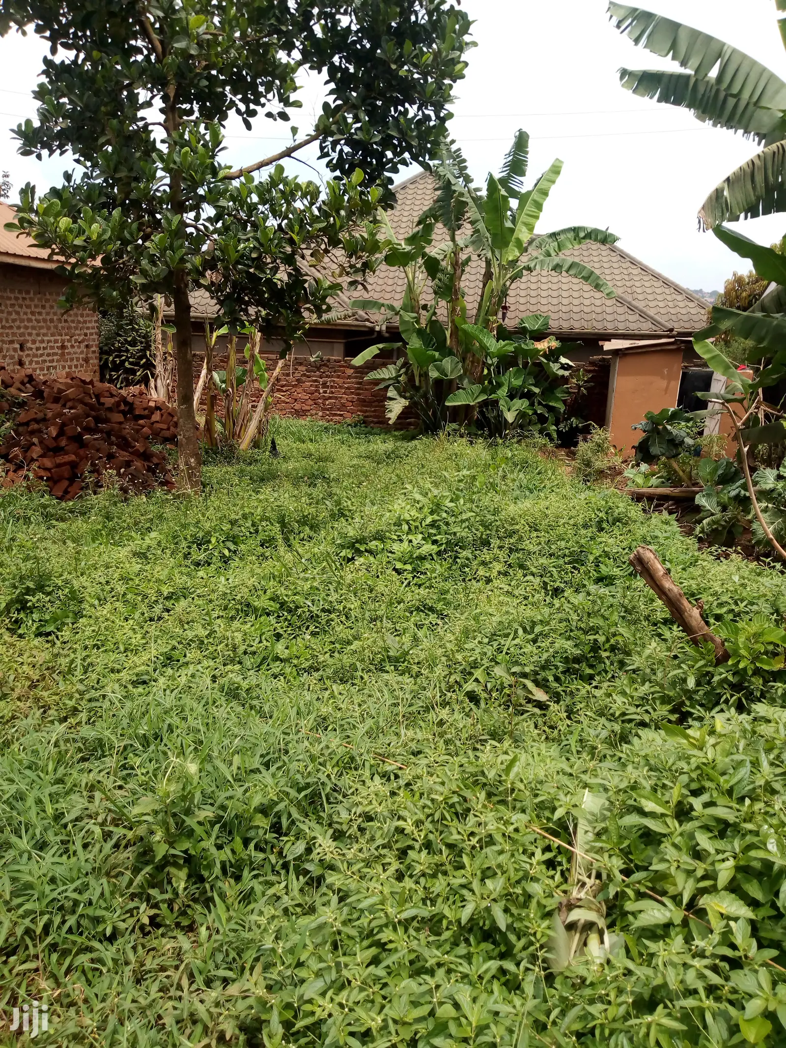 Plot For Sale 50x50ft In Bukasa Town Setema Road