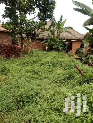 Plot For Sale 50x50ft In Bukasa Town Setema Road