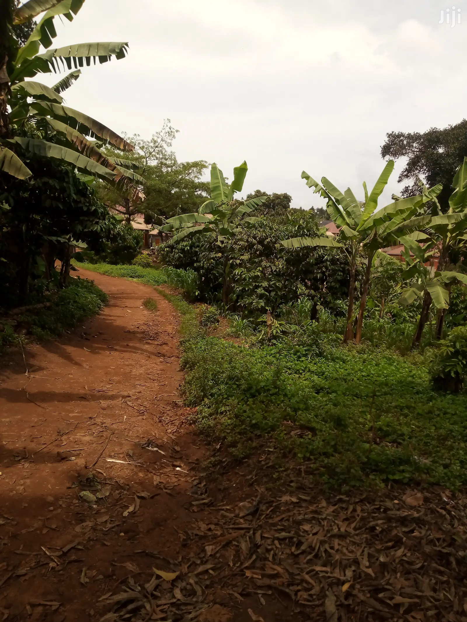 Land for Sale 2acres Kakiri Kikandwa Hoima Road