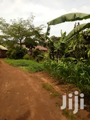 Plot 50x50ft In Lukwaga Town Setema Road For Sale
