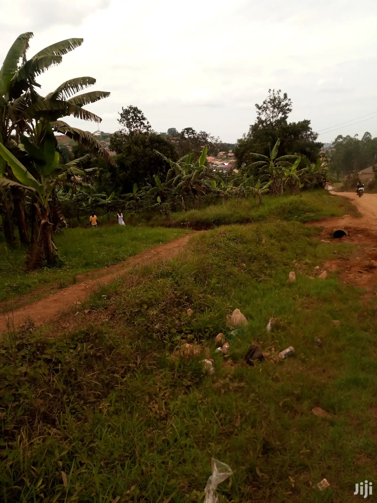 Land 7 Acres With Ready Tittle For Sale